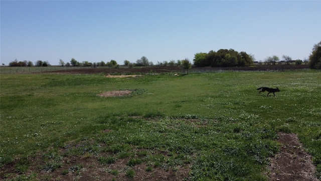 240 County Road 344, Jarrell, TX 76537 - photo 12