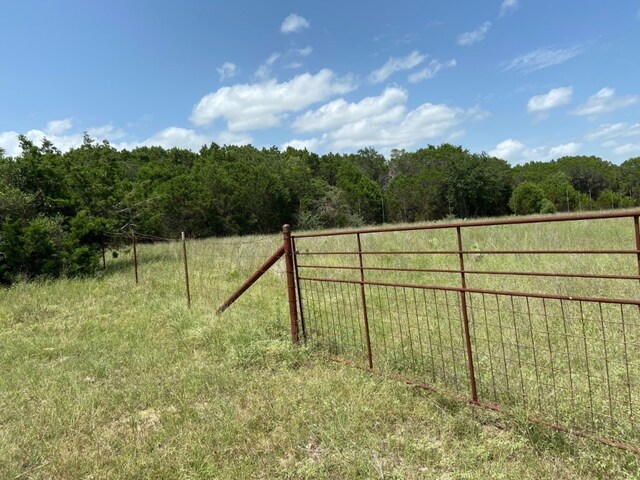 LOT199 Private Road 4718, Kempner, TX 76539 - photo 5