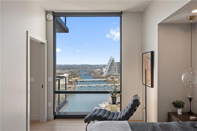 interior space with a healthy amount of sunlight and light hardwood / wood-style flooring