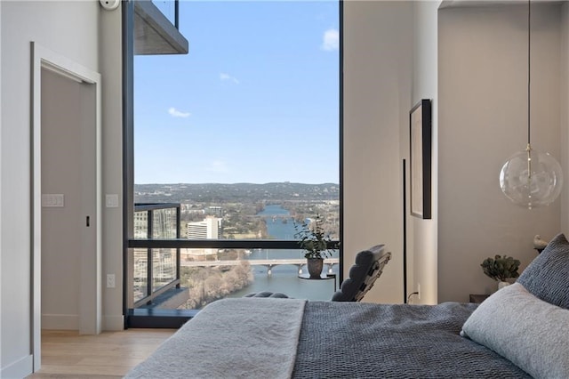 bedroom featuring light hardwood / wood-style flooring and a closet