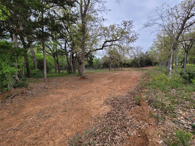 160 Arbor Hill Way, Cedar Creek TX, 78612 land for sale