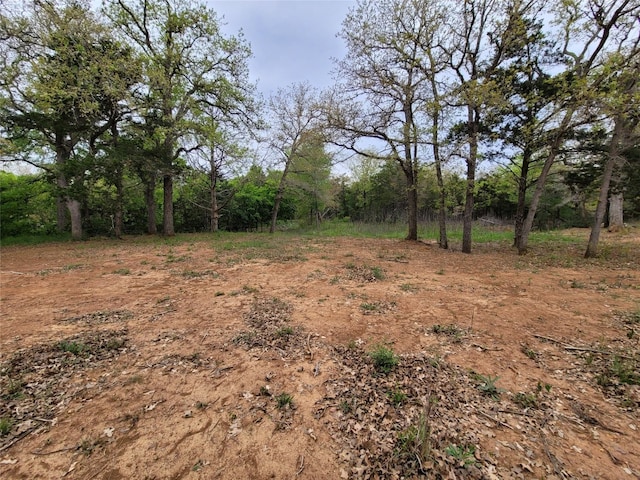 Listing photo 3 for 160 Arbor Hill Way, Cedar Creek TX 78612