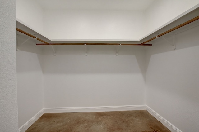 spacious closet featuring carpet flooring