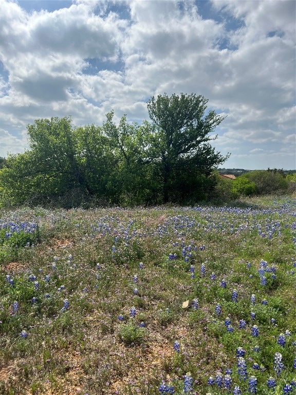 Listing photo 3 for ESCONDIDOLOTC-60 La Serena Loop, Llano TX 78643