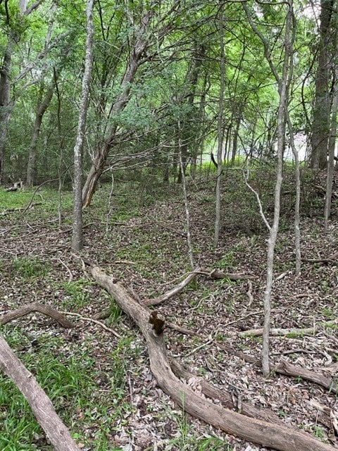 Listing photo 2 for LOT1099 Moku Manu Dr, Bastrop TX 78602