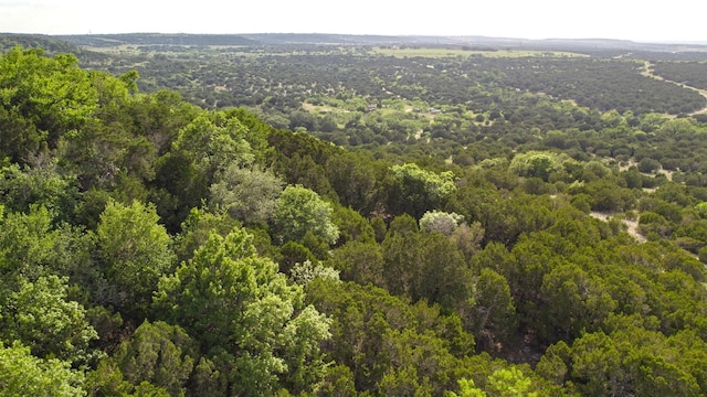 Listing photo 3 for TBD County Road 2109, Lampasas TX 76550