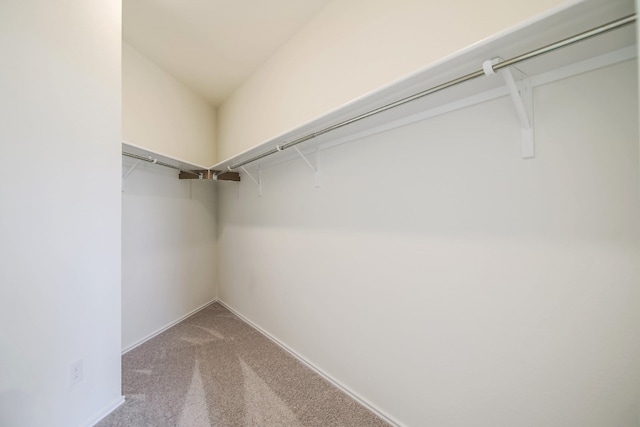 walk in closet featuring carpet flooring