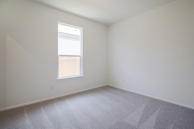 unfurnished room featuring plenty of natural light and carpet floors