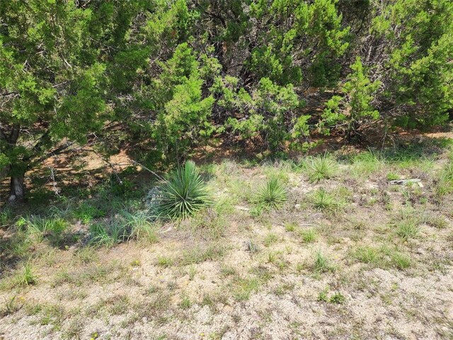 21304 Highland Lake Dr, Lago Vista, TX 78645 - photo 2
