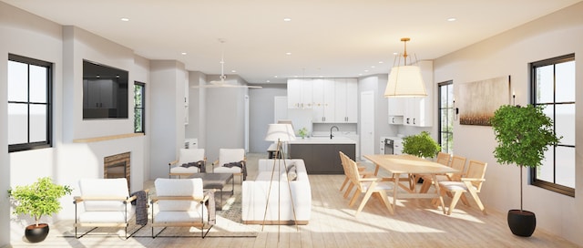 interior space with sink, light hardwood / wood-style floors, and a fireplace