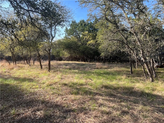 Listing photo 2 for 120 Whitewater St, Wimberley TX 78676