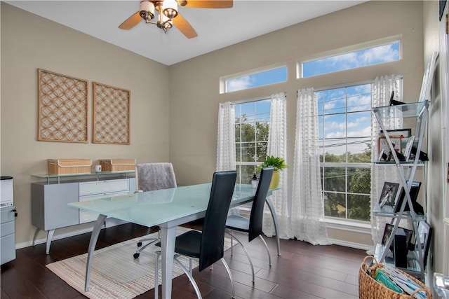 office space with dark hardwood / wood-style floors and ceiling fan