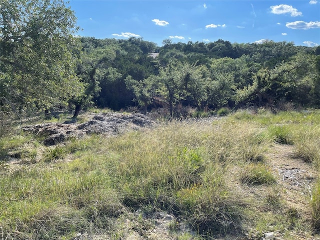 3008 Marshall Ave, Lago Vista TX, 78645 land for sale