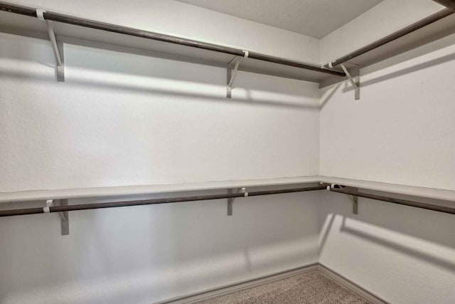 spacious closet with carpet flooring