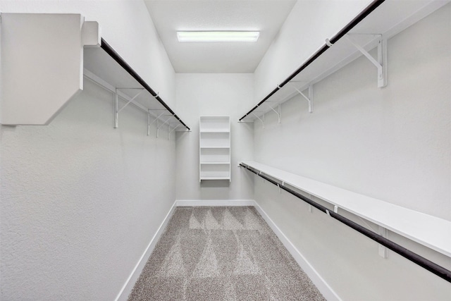 spacious closet featuring light colored carpet