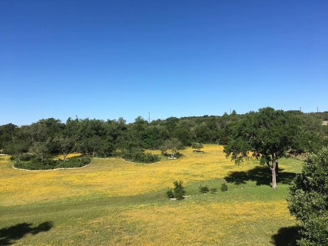 TBD Anglin Lane, Austin TX, 78737 land for sale