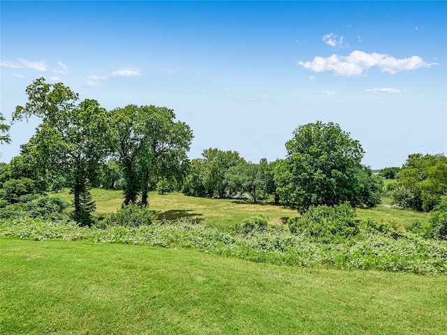 view of yard with a rural view