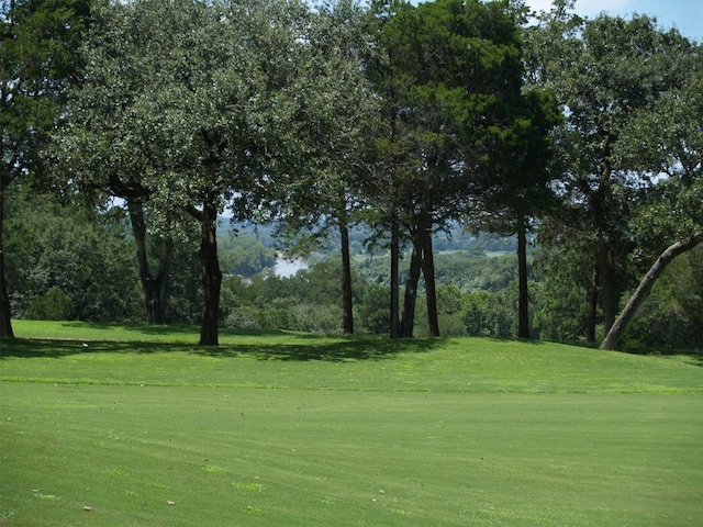 view of property's community featuring a lawn