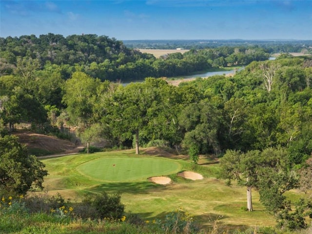 539 Colovista Pkwy Unit C101, Bastrop, TX 78602 - view of community featuring golf course view and a water view