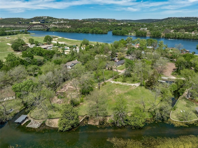 1717 Channel Rd, Austin, TX 78746 - photo 6