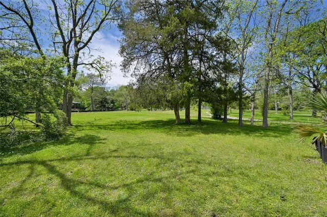 1717 Channel Rd, Austin, TX 78746 - photo 7