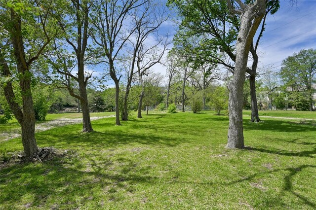 1717 Channel Rd, Austin, TX 78746 - photo 8