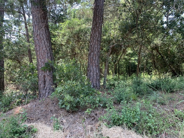 170 Tahitian Dr, Bastrop TX, 78602 land for sale