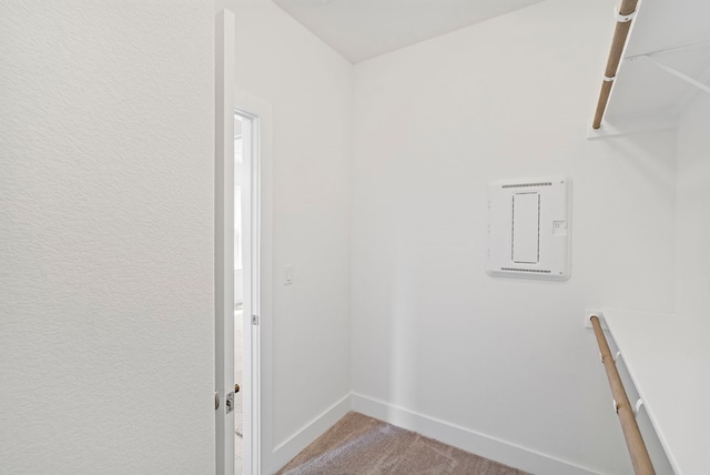 laundry room with carpet floors