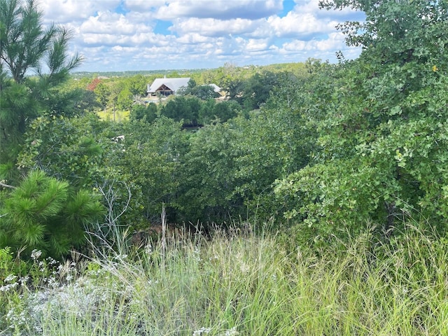 Listing photo 3 for LOT12 River Forest Dr, Bastrop TX 78602