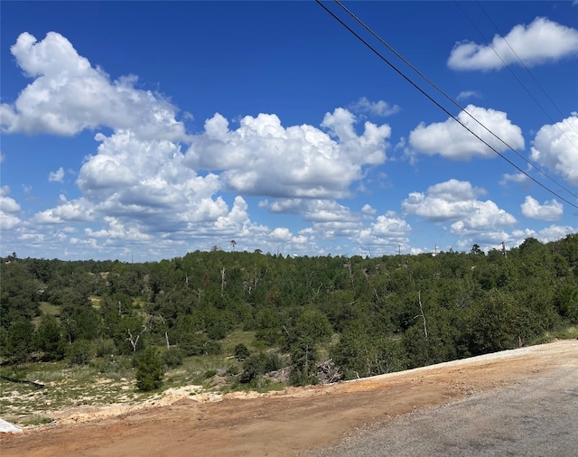 LOT12 River Forest Dr, Bastrop TX, 78602 land for sale