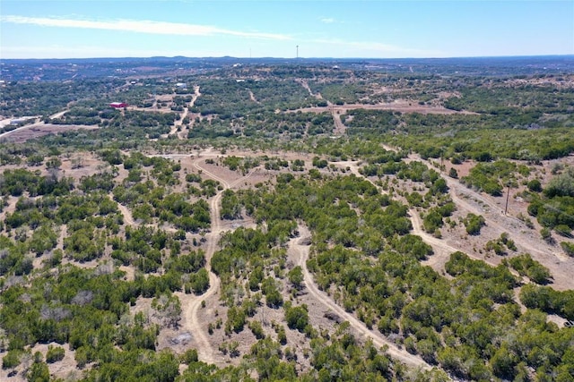 21524 Kathy Ln, Spicewood, TX 78669 - photo 4
