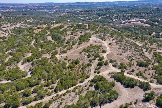 21524 Kathy Ln, Spicewood, TX 78669 - photo 5