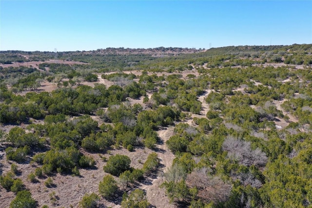 21524 Kathy Ln, Spicewood, TX 78669 - photo 6