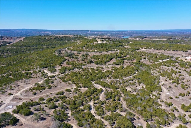21524 Kathy Ln, Spicewood, TX 78669 - photo 7
