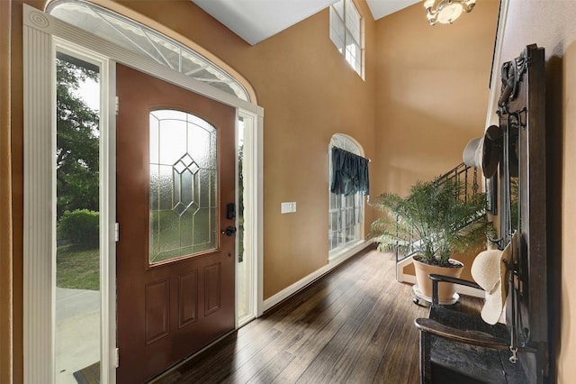 entrance foyer featuring dark hardwood / wood-style floors