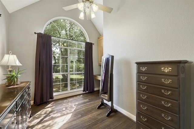 doorway featuring ceiling fan, dark hardwood / wood-style floors, and lofted ceiling