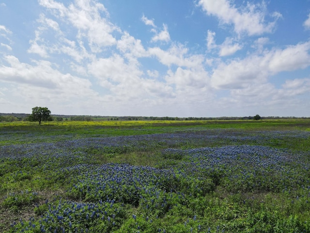 Listing photo 2 for TBD County Road 273, Cameron TX 76570