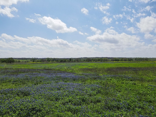 Listing photo 3 for TBD County Road 273, Cameron TX 76570