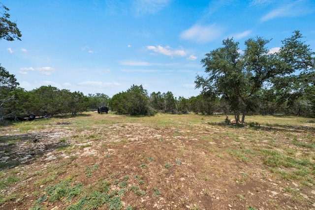 view of local wilderness