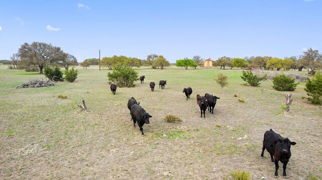 view of yard featuring a rural view