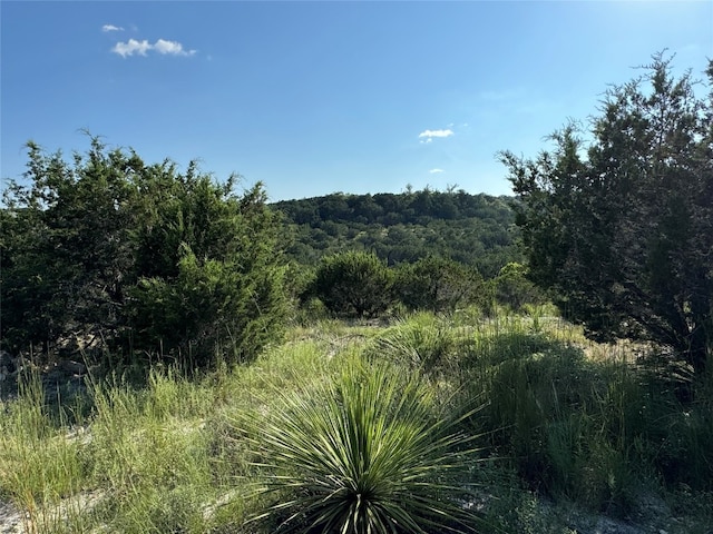 1227 Bonita Dr, Blanco TX, 78606 land for sale