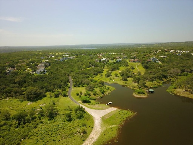 613 Wesley Ridge Dr, Spicewood, TX 78669 - photo 37