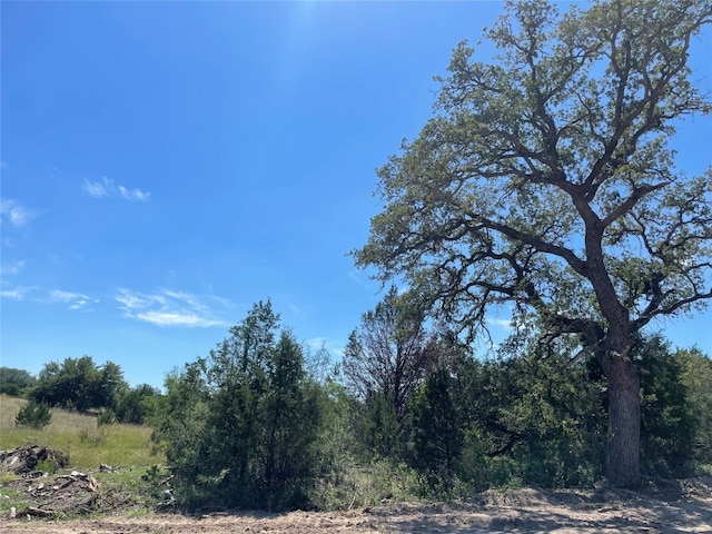 300 Willow Oaks Drive Highway, Goldthwaite TX, 76844 land for sale