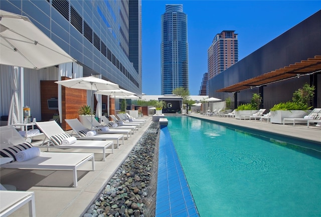 view of swimming pool with a patio