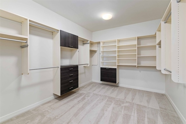 spacious closet featuring light colored carpet