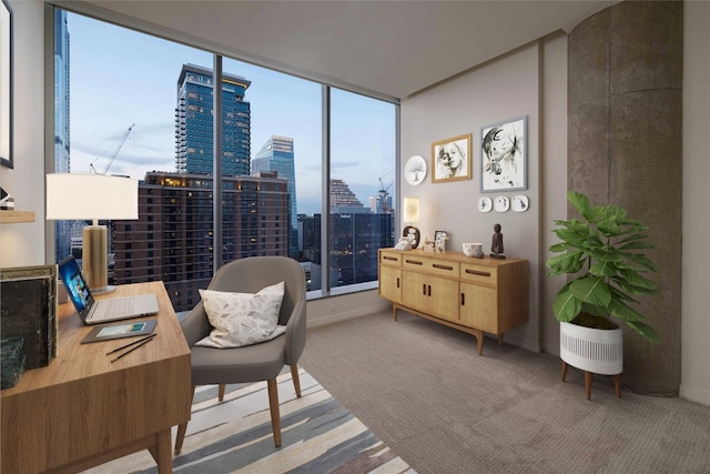 office featuring carpet and a wealth of natural light