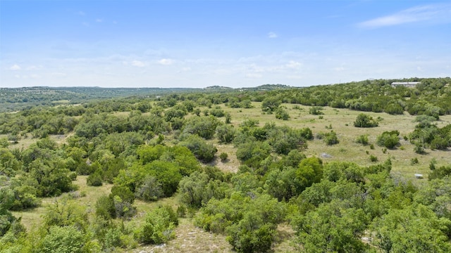 Listing photo 2 for TBD Fall Creek Rd, Spicewood TX 78669