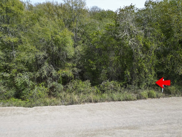 201 Heleakala Dr, Bastrop TX, 78602 land for sale