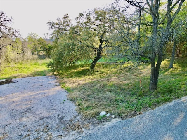 18311 Spring Ln, Jonestown, TX 78645 - photo 3