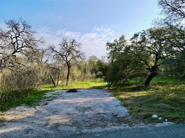 18311 Spring Ln, Jonestown, TX 78645 - photo 4